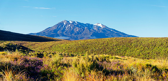 Neuseeland 2015