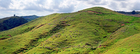 Neuseeland 2015
