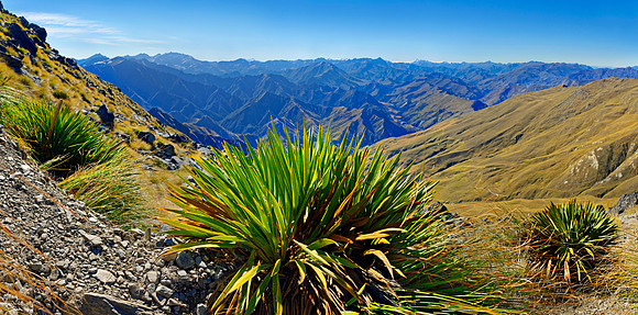 Neuseeland 2015