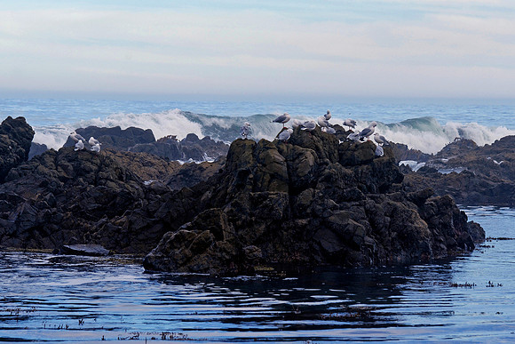 Neuseeland 2015