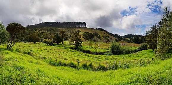 Neuseeland 2015