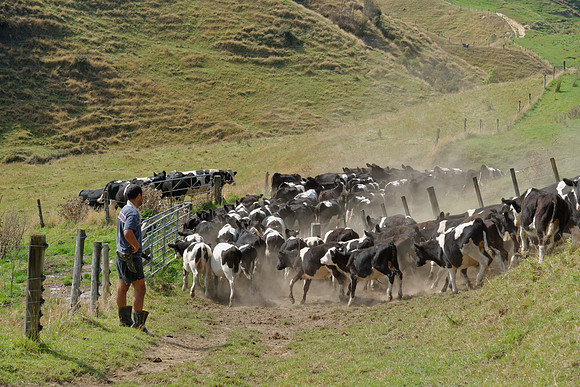 Neuseeland 2015