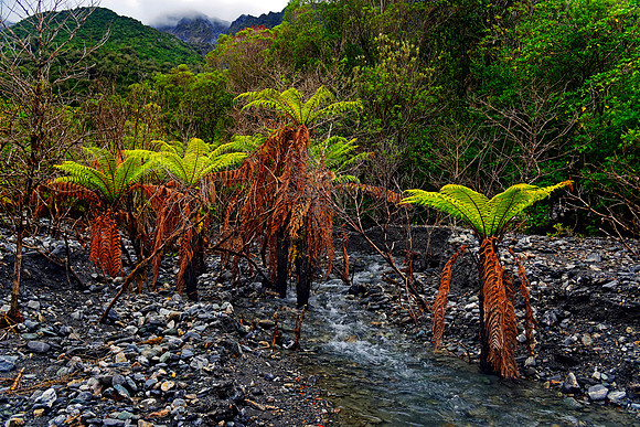 Neuseeland 2015