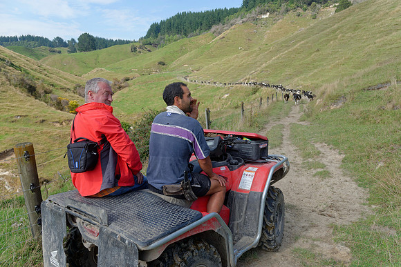 Neuseeland 2015