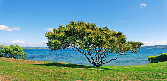 Neuseeland 2015