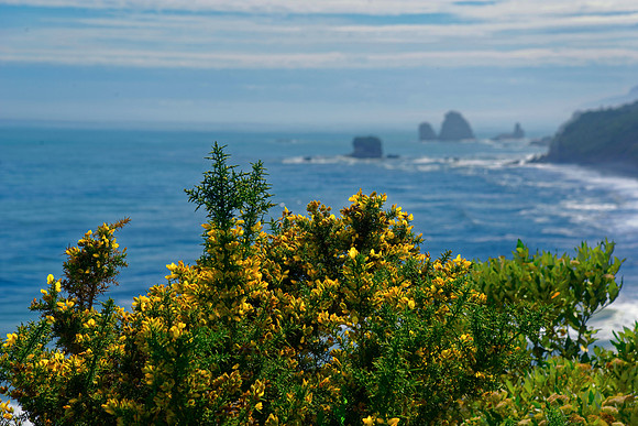 Neuseeland 2015