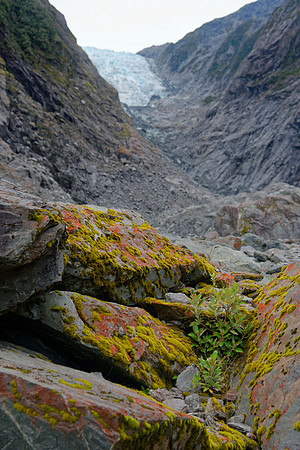 Neuseeland 2015