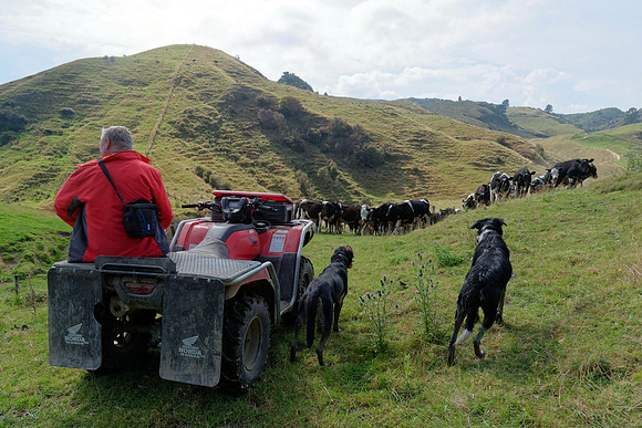 Neuseeland 2015