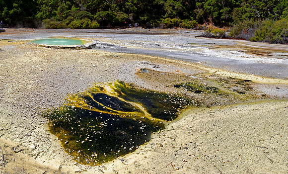 Neuseeland 2015