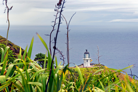 Neuseeland 2015