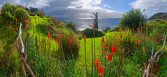 Neuseeland 2015