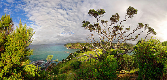 Neuseeland 2015