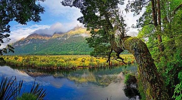 Neuseeland 2015