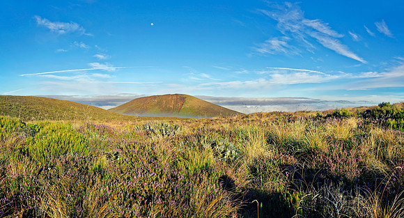 Neuseeland 2015