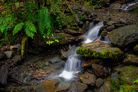 Neuseeland 2015