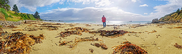 Neuseeland 2015