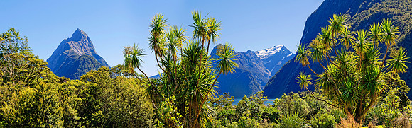 Neuseeland 2015