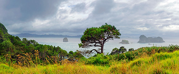Neuseeland 2015