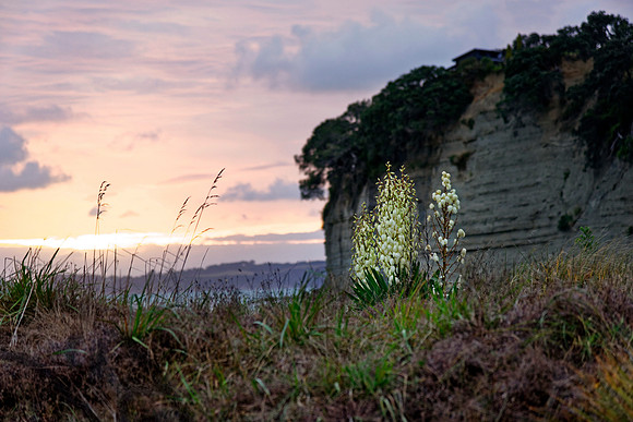 Neuseeland 2015
