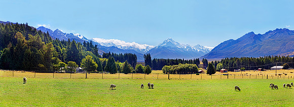 Neuseeland 2015