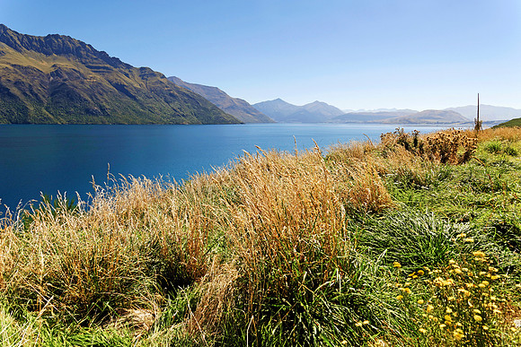 Neuseeland 2015