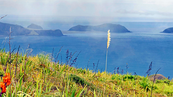 Neuseeland 2015