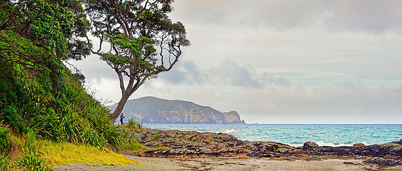 Neuseeland 2015