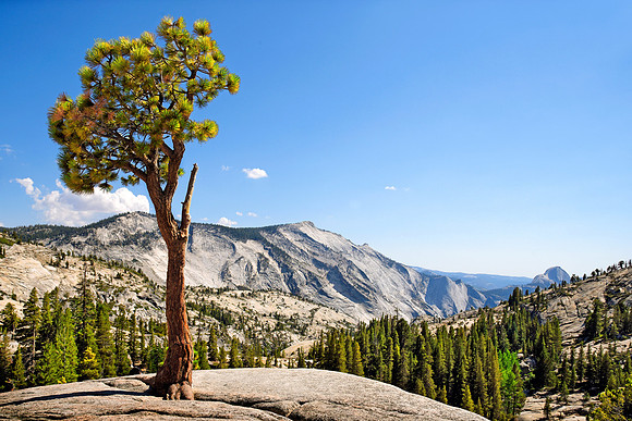 2012-08-19_0081_USA_Yosemite